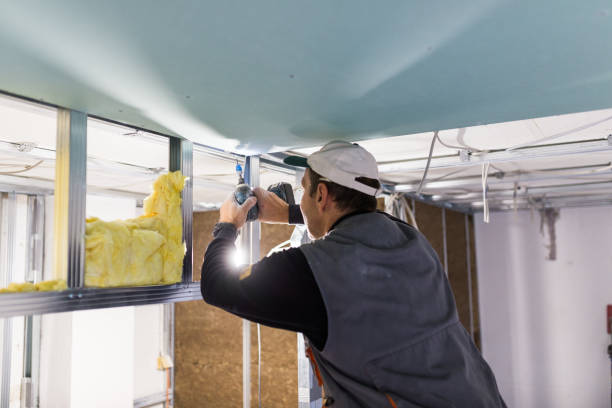 Best Insulation Contractors for Homes  in Northeast Ithaca, NY