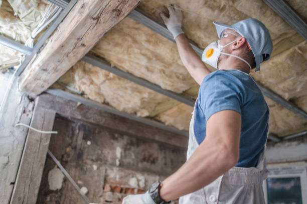 Best Insulation Replacement Services  in Northeast Ithaca, NY