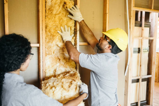 Best Insulation Replacement Services  in Northeast Ithaca, NY