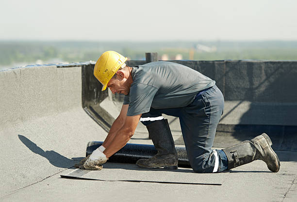 Best Insulation Inspection Services  in Northeast Ithaca, NY
