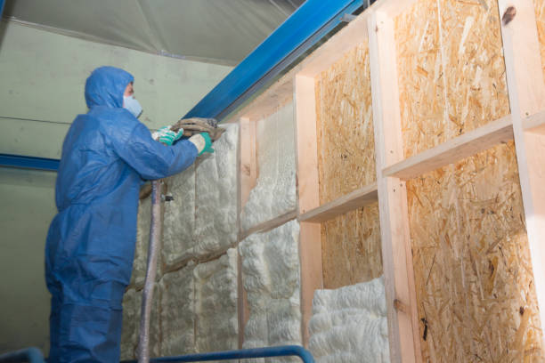 Best Commercial Insulation Contractor  in Northeast Ithaca, NY
