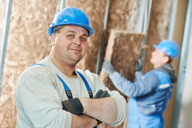 Best Insulation Removal  in Northeast Ithaca, NY