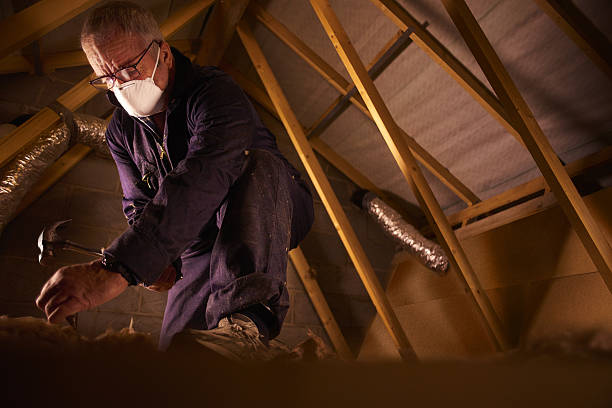 Insulation Repair Services in Northeast Ithaca, NY